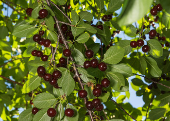 Similar image 6352554