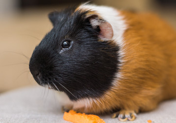 Similar image 6352560