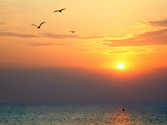 Similar image 6352635