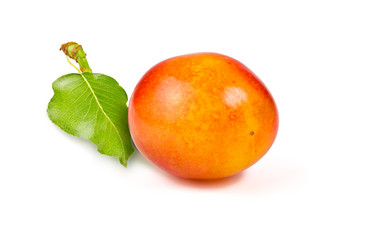 Similar image 6352702