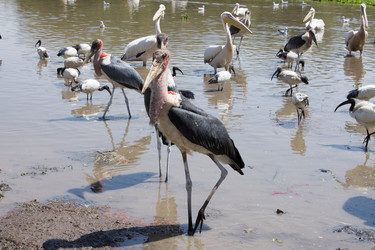 Similar image 6352708