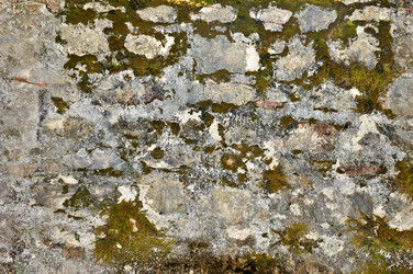 Similar image 6352813