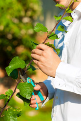 Similar image 6352831