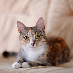 Similar image 6352843