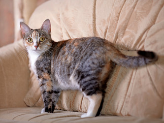 Similar image 6352849