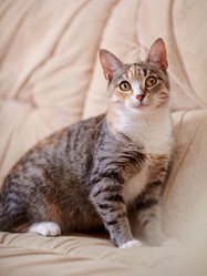 Similar image 6352852