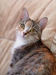 Similar image 6352858