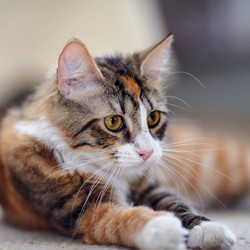 Similar image 6352859