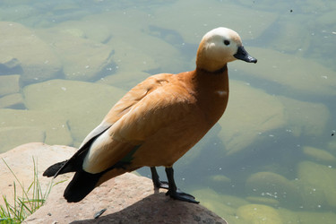 Similar image 6352867