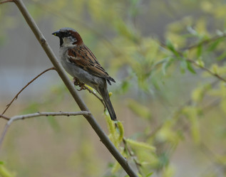 Similar image 6352875