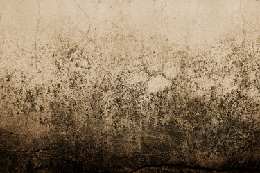 Similar image 6352890