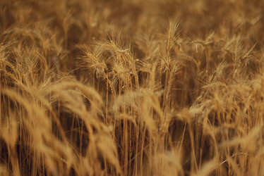 Similar image 6352952