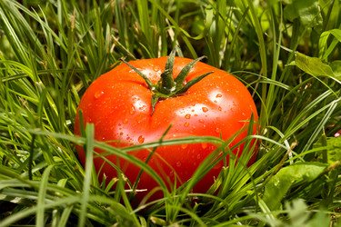 Similar image 6353082