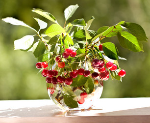 Similar image 6353083