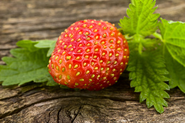 Similar image 6353087