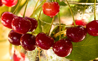 Similar image 6353091