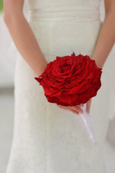 Similar image 6353113