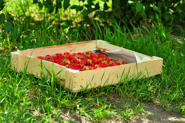 Similar image 6353129