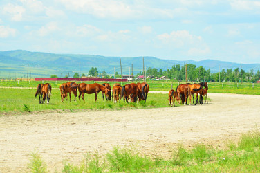 Similar image 6353131