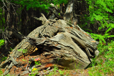 Similar image 6353139