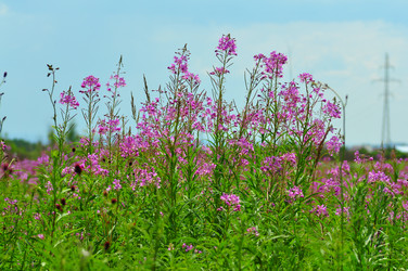 Similar image 6353150