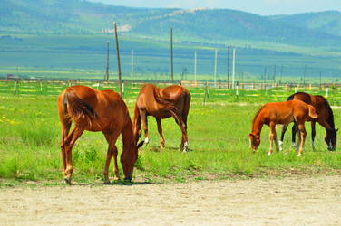 Similar image 6353151