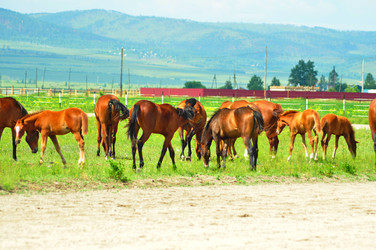 Similar image 6353153