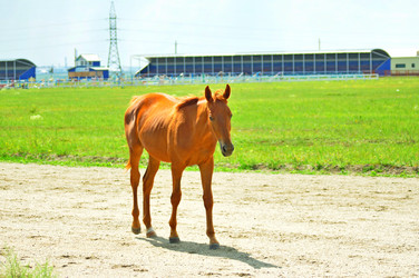 Similar image 6353155