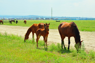 Similar image 6353156