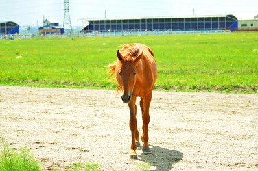 Similar image 6353157