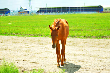 Similar image 6353158