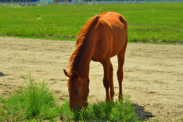 Similar image 6353159