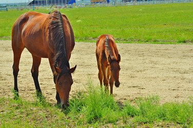 Similar image 6353160