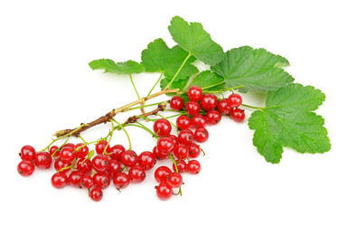 Similar image 6353227