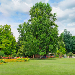 Similar image 6353241