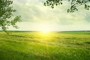 Similar image 6353257