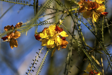 Similar image 6353295