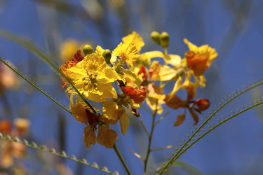 Similar image 6353297