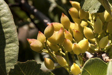 Similar image 6353299