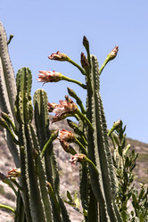 Similar image 6353359