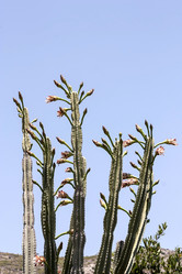 Similar image 6353379