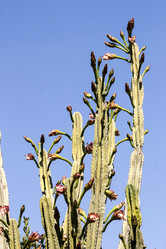 Similar image 6353390