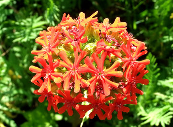 Similar image 6353443