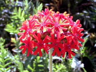 Similar image 6353444