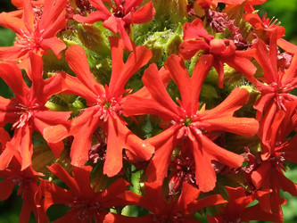 Similar image 6353445