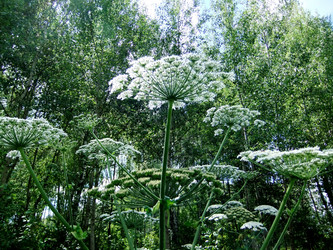 Similar image 6353446