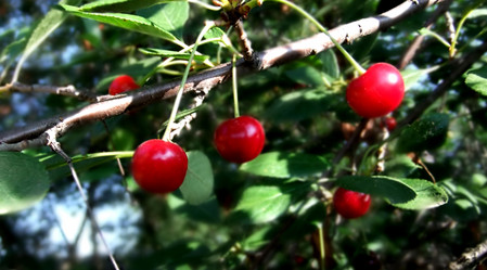 Similar image 6353448