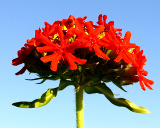 Similar image 6353450