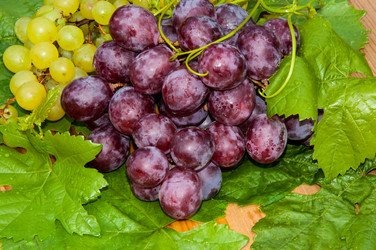 Similar image 6353453