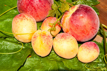 Similar image 6353455